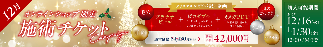 12月美容施術チケット
