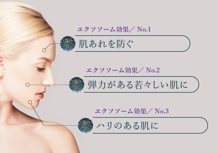 通販】exo PARTICLE エクソパーティクル エクソソーム ｜ 【公式通販